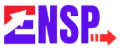 E-Net Surfing Point